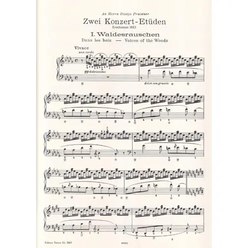 Konzert-Etuden (Waldesrauschen, Gnomenreigen)