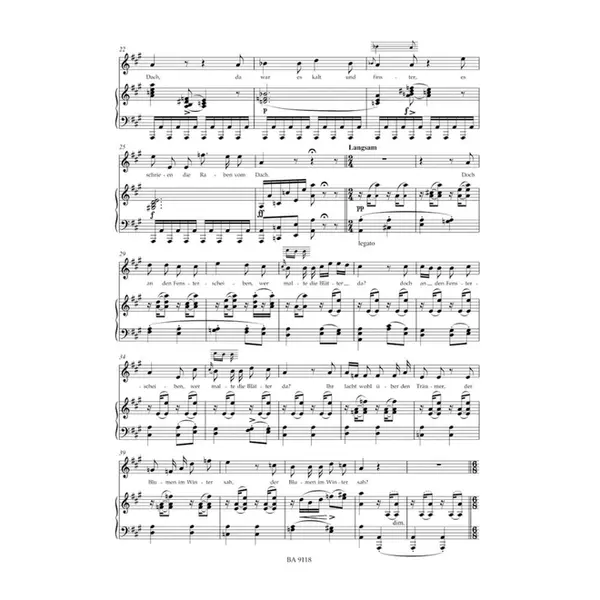 Winterreise - Op.89 - Voz Grave