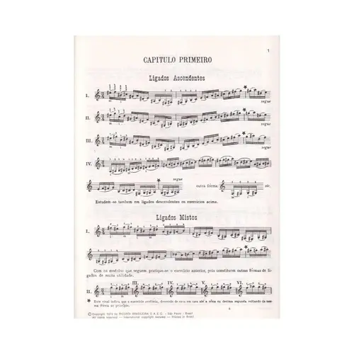 Técnica Diária do Violão