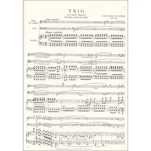 Trio In G Minor - Op.63