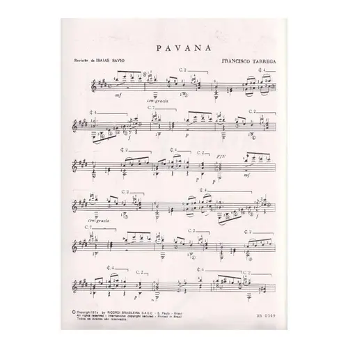 Pavana (Savio)