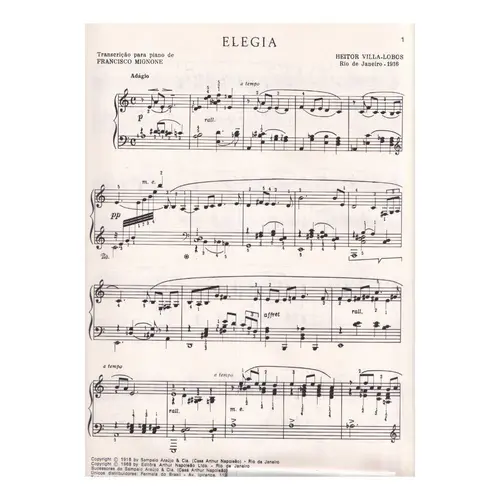 Elegia