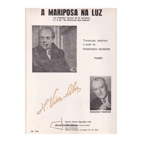 A Mariposa  Na Luz
