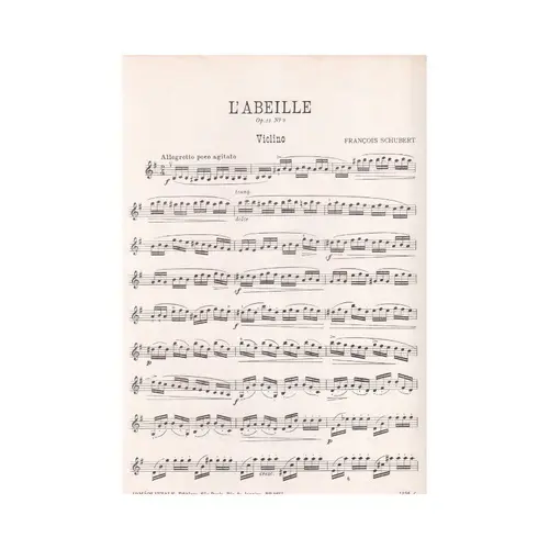 L`Abeille (A Abelha) - Op.13 N.9