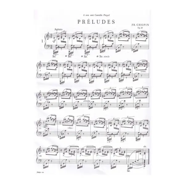 Preludes - Complete Works I - Paderewski
