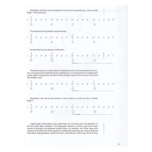Steve Ray Vaughan  - Guitar Signature Licks
