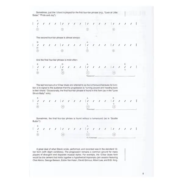 Steve Ray Vaughan  - Guitar Signature Licks