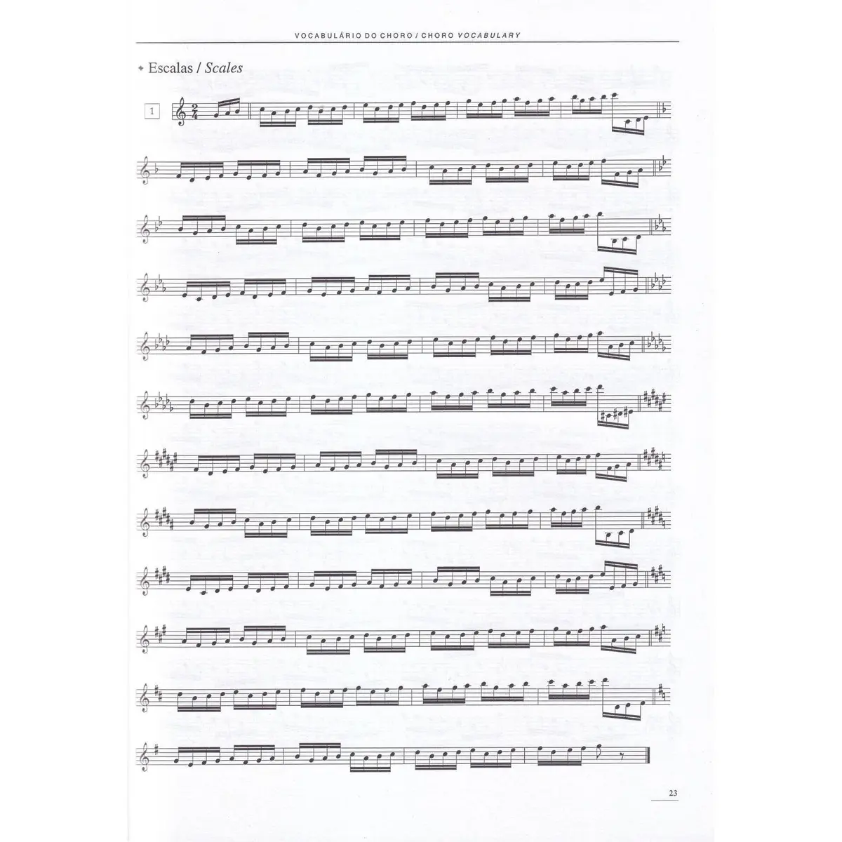 Vocabulário do Choro
