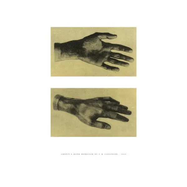 Studies - Complete Works II - Revisão Paderewski