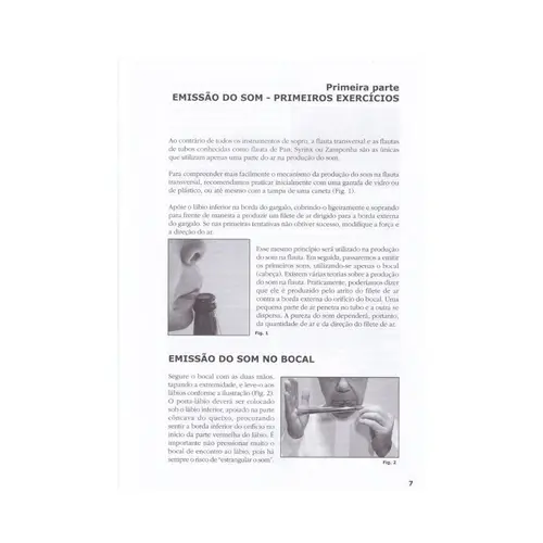 Flauta Fácil - Método Prático Para Principiantes