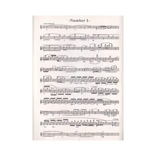 Flute Etudes