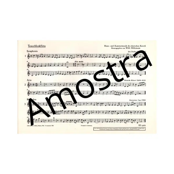 Haus Und Kammermusik Des Deutschen Barock