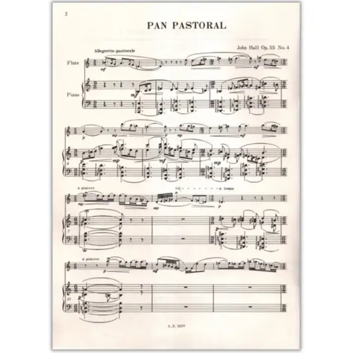 New Pieces For Flute - Vol.2 (Grades 5 E 6)