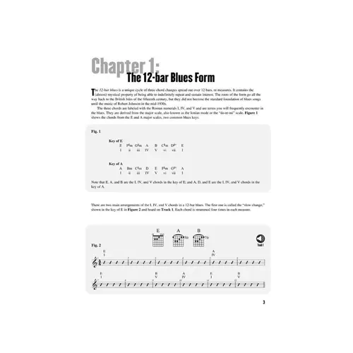 Beginning Blues Guitar