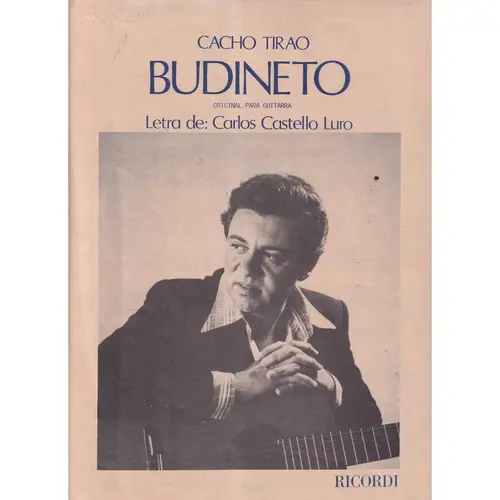 Budineto