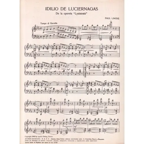 Idílio De Luciernagas