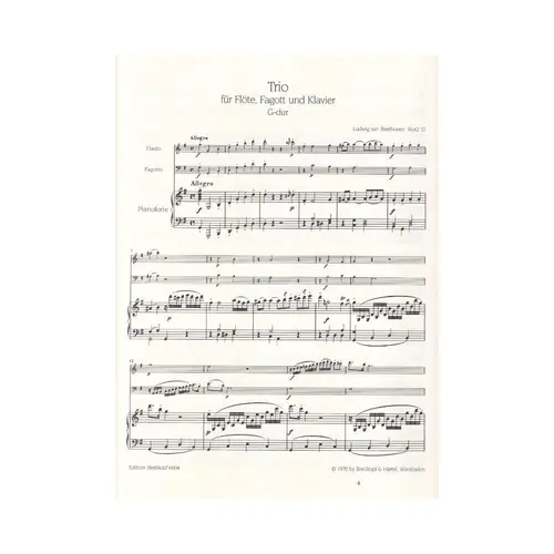Trio Fur Flote, Fagott Und Klavier G Dur - Woo 37