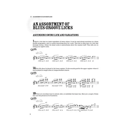 100 Authentic Blues Harmonica Licks