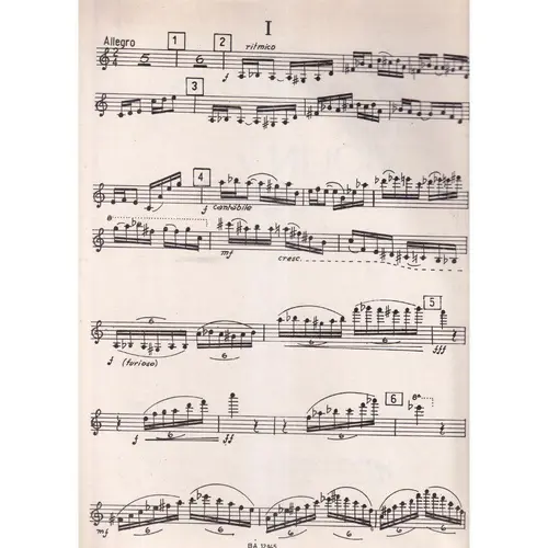 Concierto Para Violin (Parte Do Violino Solo  (Edição Antiga)