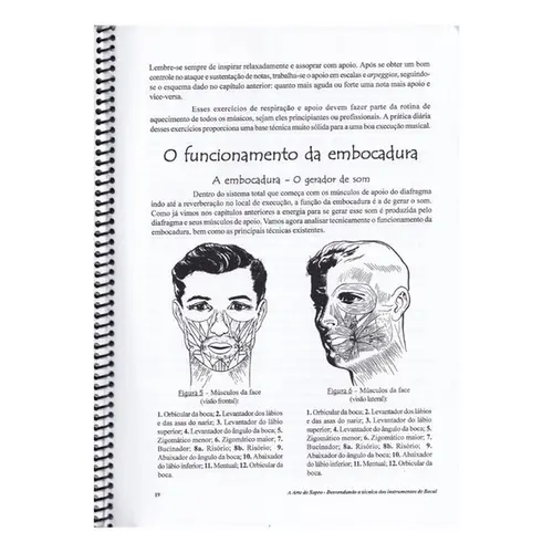 Arte Do Sopro - Desvendando A Técnica Dos Instrumentos De Bocal