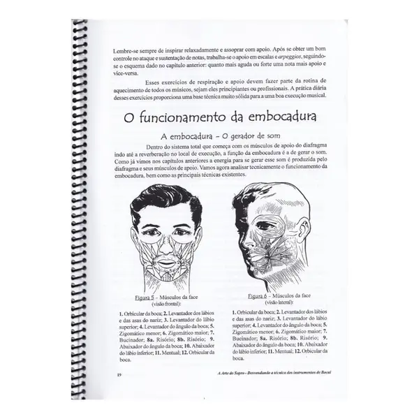 Arte Do Sopro - Desvendando A Técnica Dos Instrumentos De Bocal
