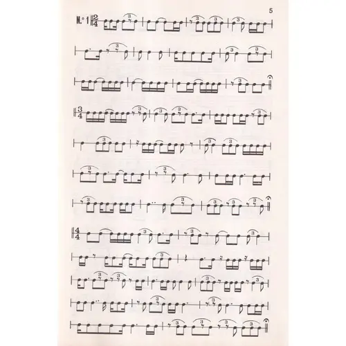 Divisão Rítmica Musical - 3º ano