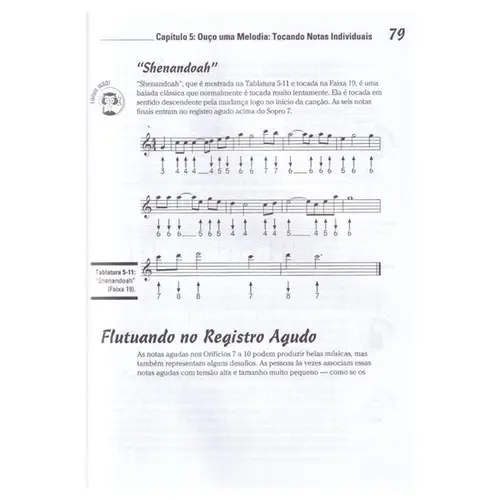 Gaita Para Leigos