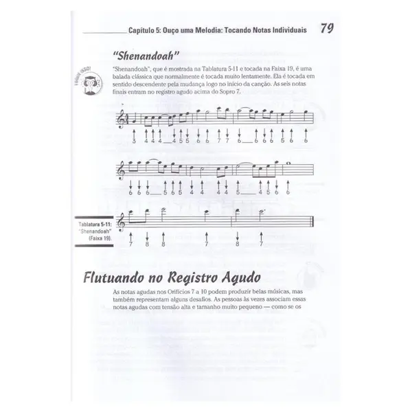 Gaita Para Leigos