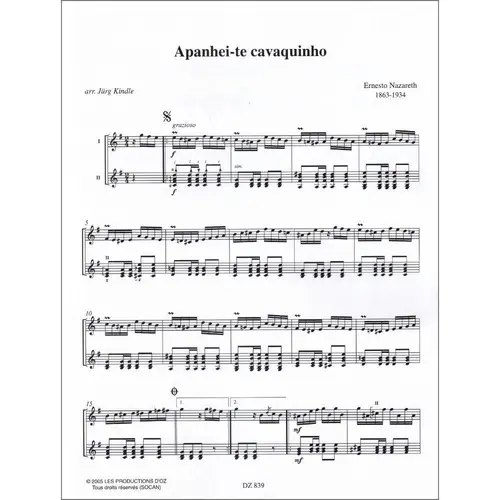 Ernesto Nazareth 2 Guitars (Apanhei-Te Cavaquinho, Turbilhao De Beijos,Escorregando)