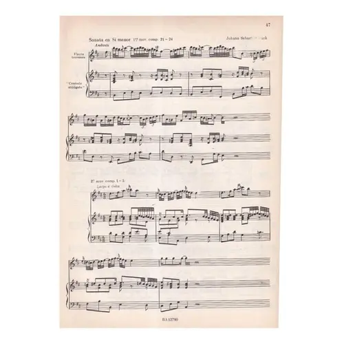 Pequenã Guia para La Ornamentacion. XVI-XVIII