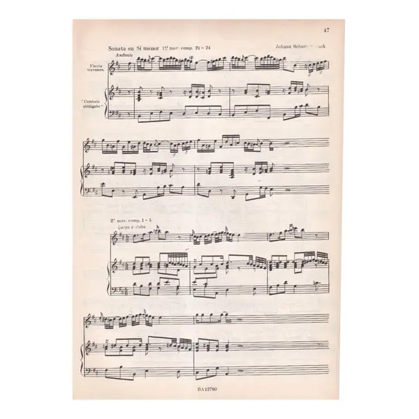 Pequenã Guia para La Ornamentacion. XVI-XVIII