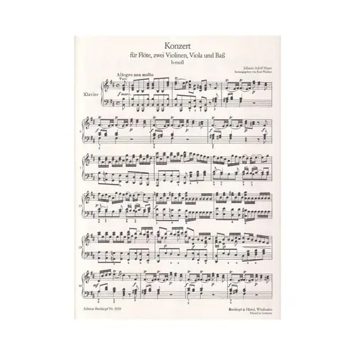 Konzert fur flote, zwei violinen, viola und bass h-moll