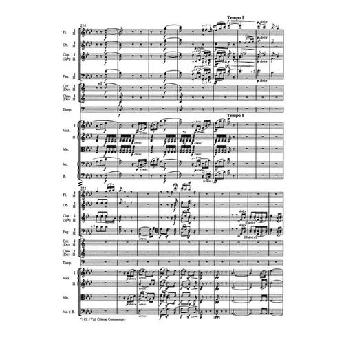 Symphony N.5 in C minor - Study Score