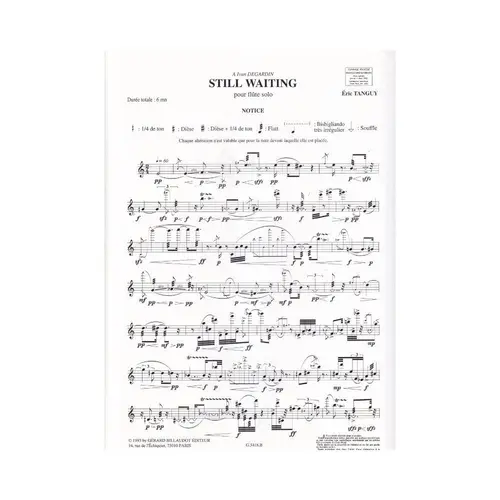 Still Waiting Pour Flute Solo