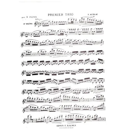 Three Grand Trios - Op.86 - Vol.1