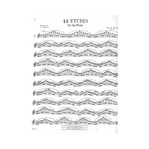 12 Studies Op.15