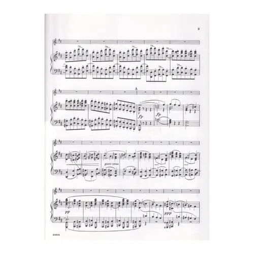 Concerto In D-Op.77 (Violin)-1395