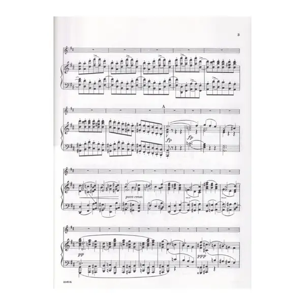 Concerto In D-Op.77 (Violin)-1395