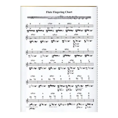 Advanced Flute Studies - The Art Of Chunking