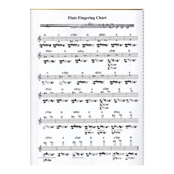 Advanced Flute Studies - The Art Of Chunking