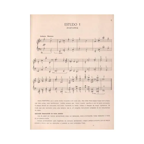 O Estudo Do Piano  - Vol.10