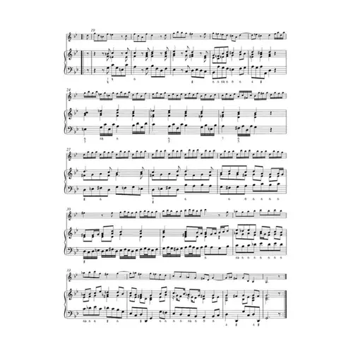 Complete Works For Violin And Basso Continuo Vol.1 (2 Volumes Inseparaveis)