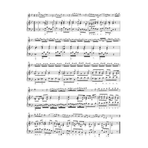 Complete Works For Violin And Basso Continuo Vol.1 (2 Volumes Inseparaveis)