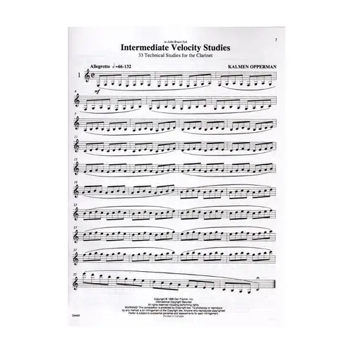 Intermediate Velocity Studies For Clarinet