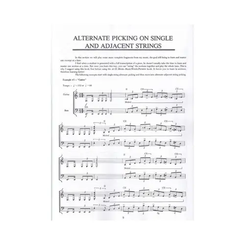 Al Di Meola`S Picking Techniques