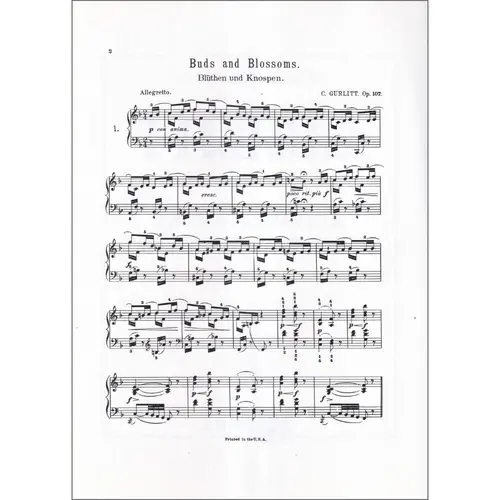 Buds And Blossoms  Twelvew Melodius Studies For Piano - Op.107