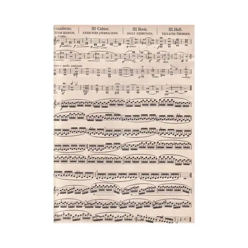 La Technique Du Violon - Vol.3