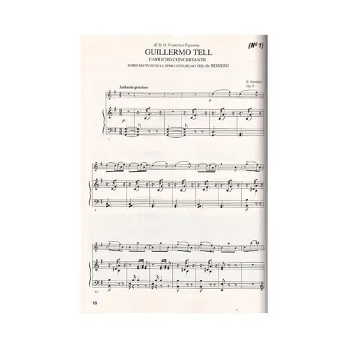El Álbum Del Flautista