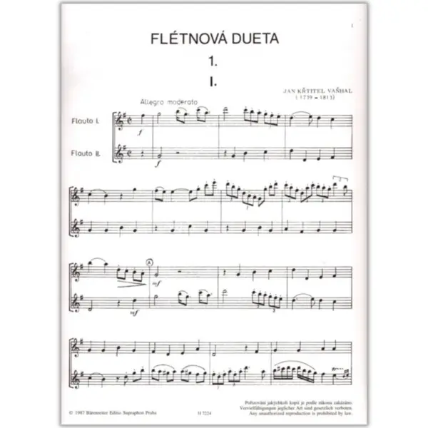 Flötenduette ( Flétnová dueta )