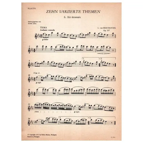 Zehn Variierte Themen fur flute und klavier - Op.107 vol.II